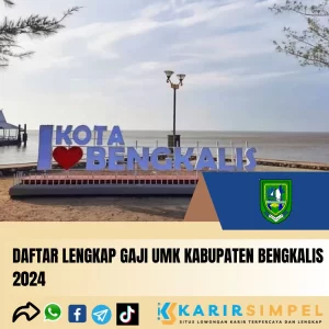 Daftar Lengkap Gaji UMK Kabupaten Bengkalis 2024