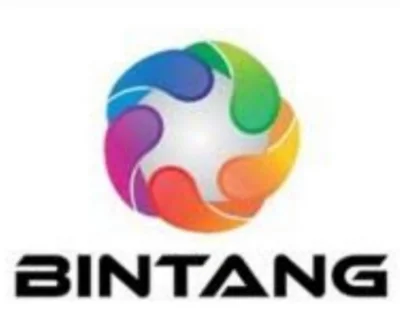 PT Bintang Internasional