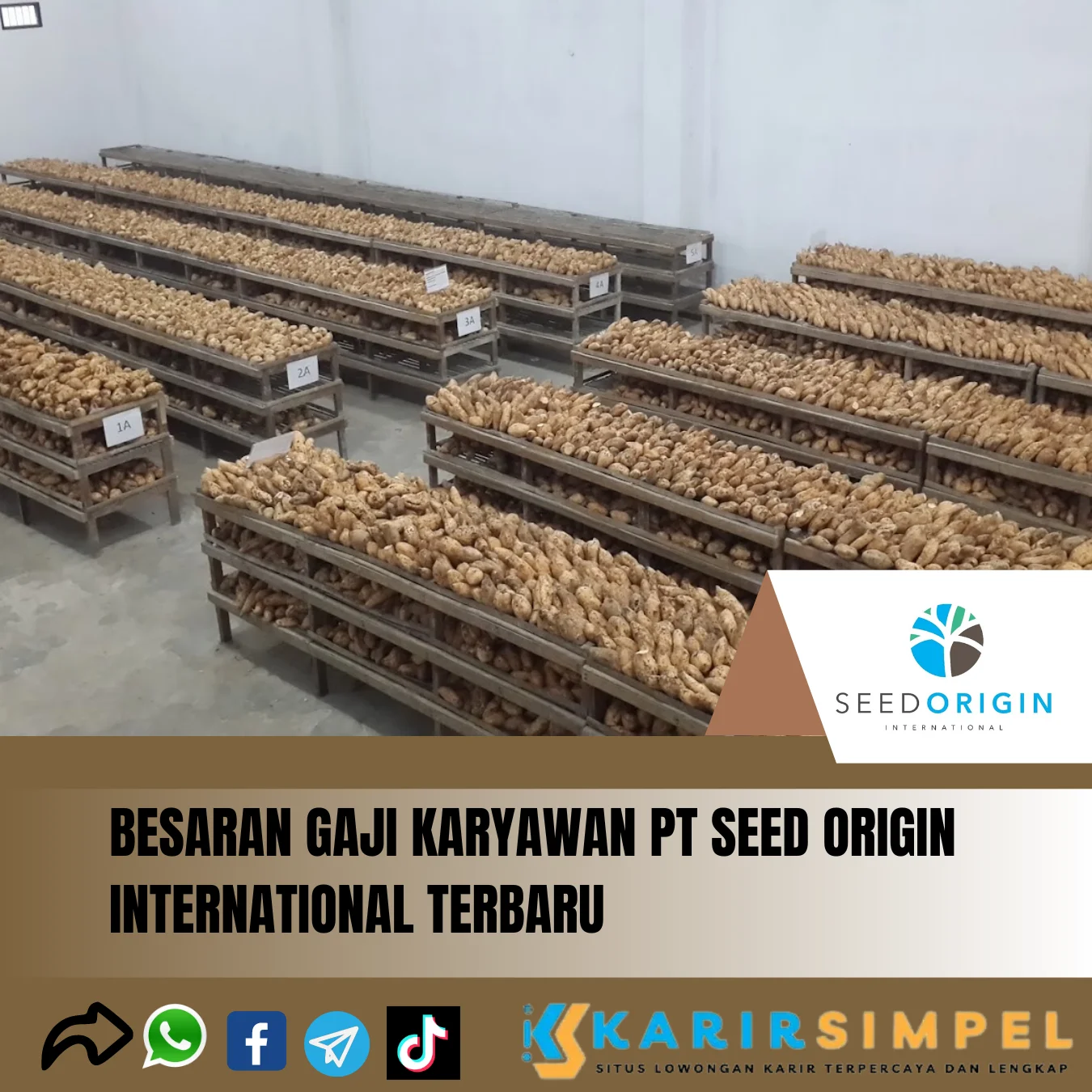 Besaran Gaji Karyawan PT Seed Origin International Terbaru 2024