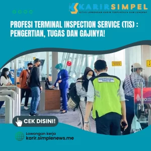 Profesi Terminal Inspection Service (TIS) : Pengertian, Tugas dan Gajinya!