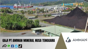 Besaran Gaji Karyawan PT Amman Mineral Nusa Tenggara Semua Posisi Terbaru 2024