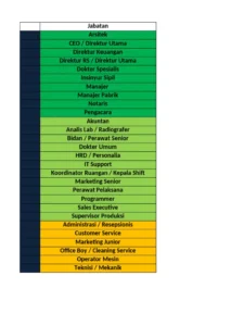 Struktur Jabatan Gaji Dengan Level | PDF