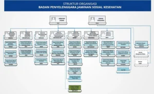 Struktur Organisasi Bpjs Kesehatan - Perumperindo.co.id