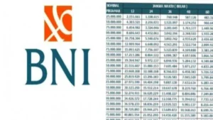 Tabel Pinjaman Bank BNI Non KUR Terbaru 2024 - pasundanekspres.id