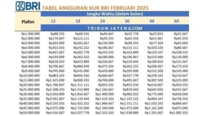 Tabel Pinjaman KUR BRI Mei 2025 Terbaru, Simak Rincian Angsuran dan