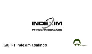 gaji pt indexim coalindo: struktur remunerasi dan kisaran