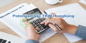 gaji tkw hongkong: Struktur dan Komponen Penghasilan
