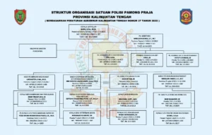 Struktur Gaji Satpol PP: Komponen Utama yang Membentuk Penghasilan
