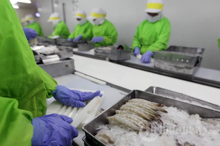 Gaji Pabrik Udang Tigaraksa: Informasi Lengkap