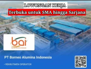 Gaji PT Borneo Alumina Indonesia: Informasi Lengkap