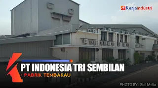 Gaji PT Indonesia Tri Sembilan: Informasi Lengkap