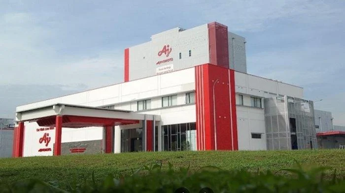 Gaji Sales Ajinomoto: Faktor yang Mempengaruhi