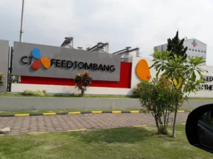 Gaji di PT CJ Feed Jombang: Informasi Lengkap